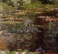 Water-Lilies