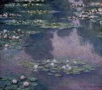 Water-Lilies