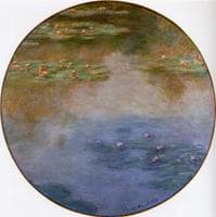 Water-Lilies