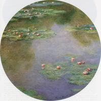 Water-Lilies