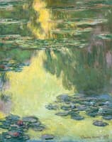 Water-Lilies