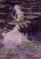 Water-Lilies