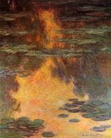 Water-Lilies