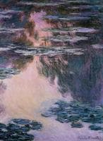 Water-Lilies