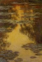 Water-Lilies