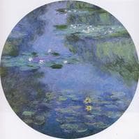 Water-Lilies