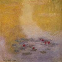 Water-Lilies