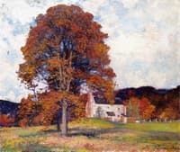 Autumn Hillside & My Studio