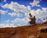 Printemps dans les Alpes (Engadines)