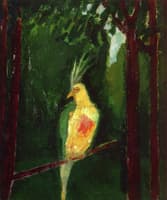 Solitary Bird