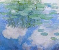 Water-Lilies