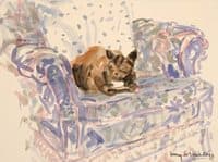 Cat On Armchair