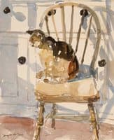 Cat On Kitchen Chair