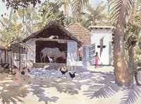 Cow Shed
