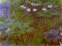 Water-Lilies