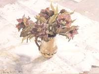 Hellebores