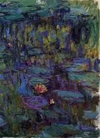 Water-Lilies