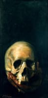 The skull