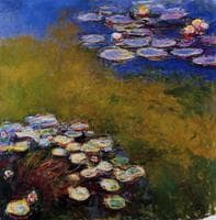 Water-Lilies