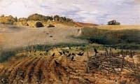 The Rooks Parliament