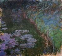 Water-Lilies