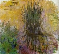 Water-Lilies