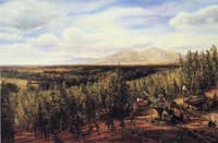 The Hop Gardens