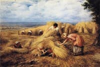 The Harvest Cradle
