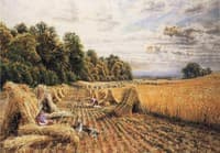 Amongst the Corn Stooks