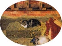 The Hay Loft