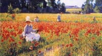 Coquelicots (Poppies)