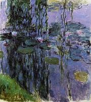 Water-Lilies