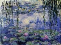 Water-Lilies