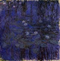 Water-Lilies