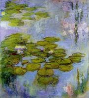 Water-Lilies