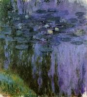 Water-Lilies