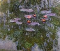 Water-Lilies