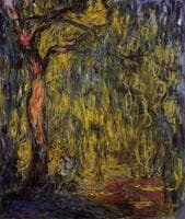 Weeping Willow