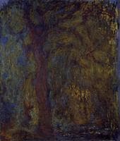 Weeping Willow