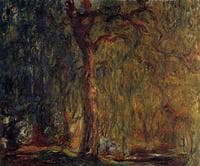 Weeping Willow