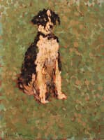 L'épagneul breton