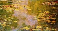 The Water-Lily Pond