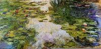 Water-Lilies