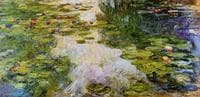 Water-Lilies
