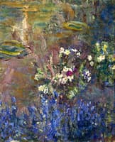 Lilies