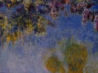Wisteria
