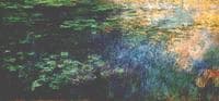 Reflections on the Water