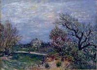Edge of the Woods