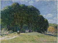 Rider at the Edge of the Forest