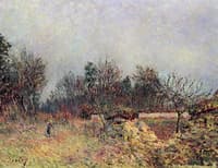 Edge of the Forest, December